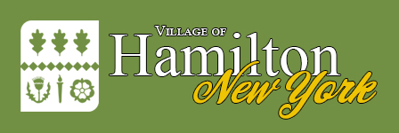 Main page image for Hamilton, New York Street Tree Inventory Data