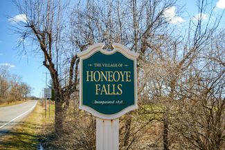Main page image for Honeoye Falls, New York Street Tree Inventory Data