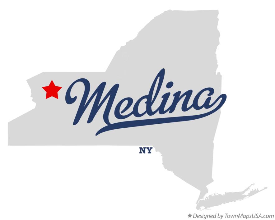 Main page image for Medina, New York Street Tree Inventory Data