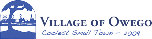 Main page image for Owego, New York Street Tree Inventory Data