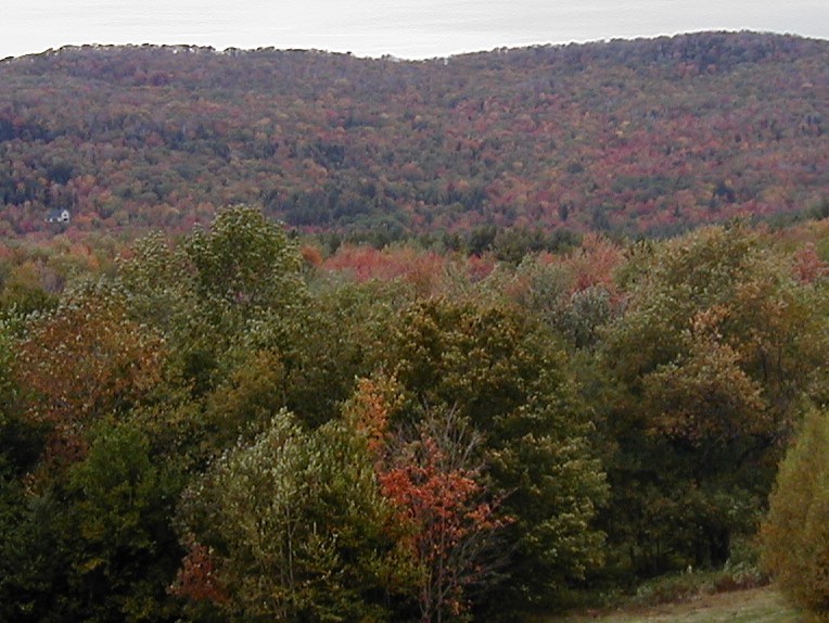 Main page image for Indicators of Acid Stress in Northeastern Forest Soil Methane Oxidizing Communities