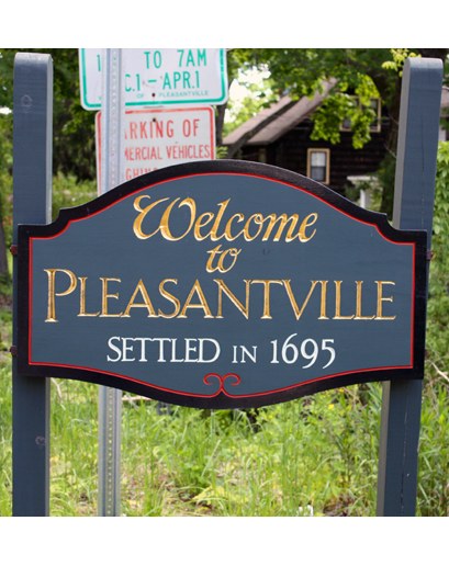 Main page image for Pleasantville, New York Street Tree Inventory Data