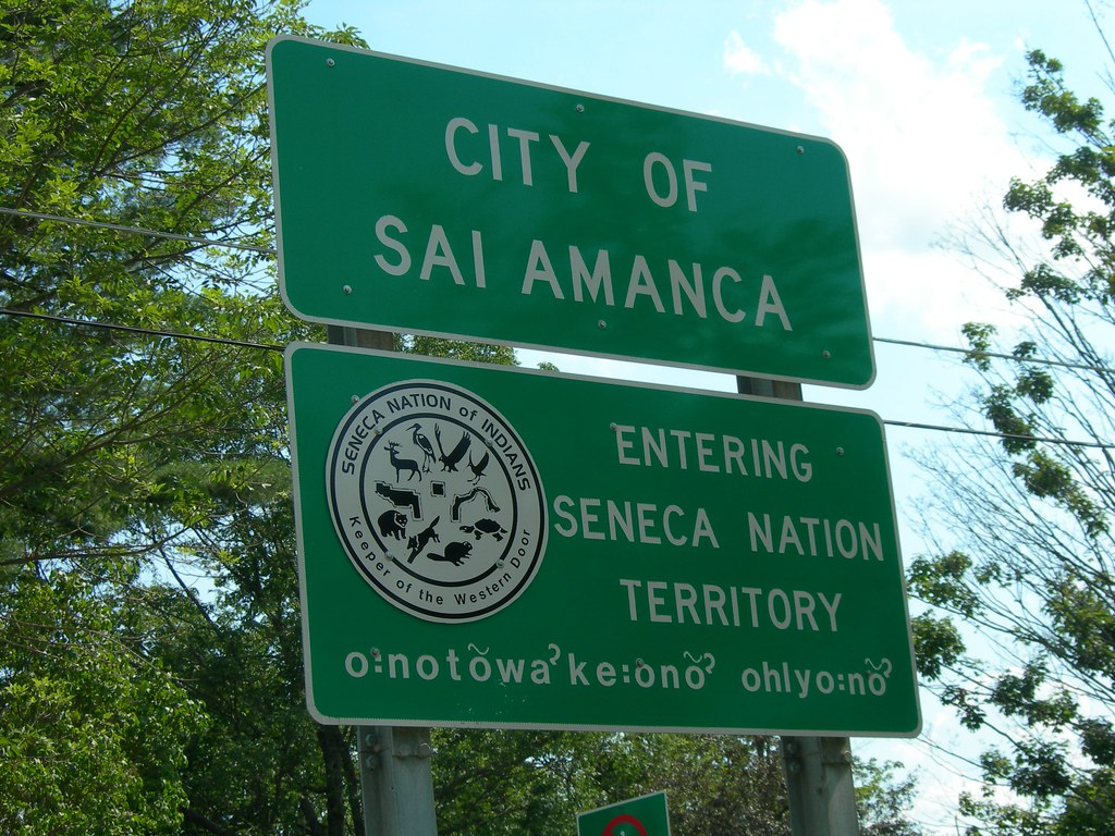 Main page image for Salamanca, New York Street Tree Inventory Data