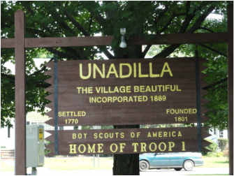 Main page image for Unadilla, New York Street Tree Inventory Data