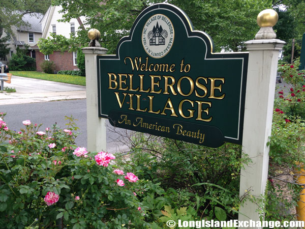 Main page image for Bellerose, New York Street Tree Inventory Data