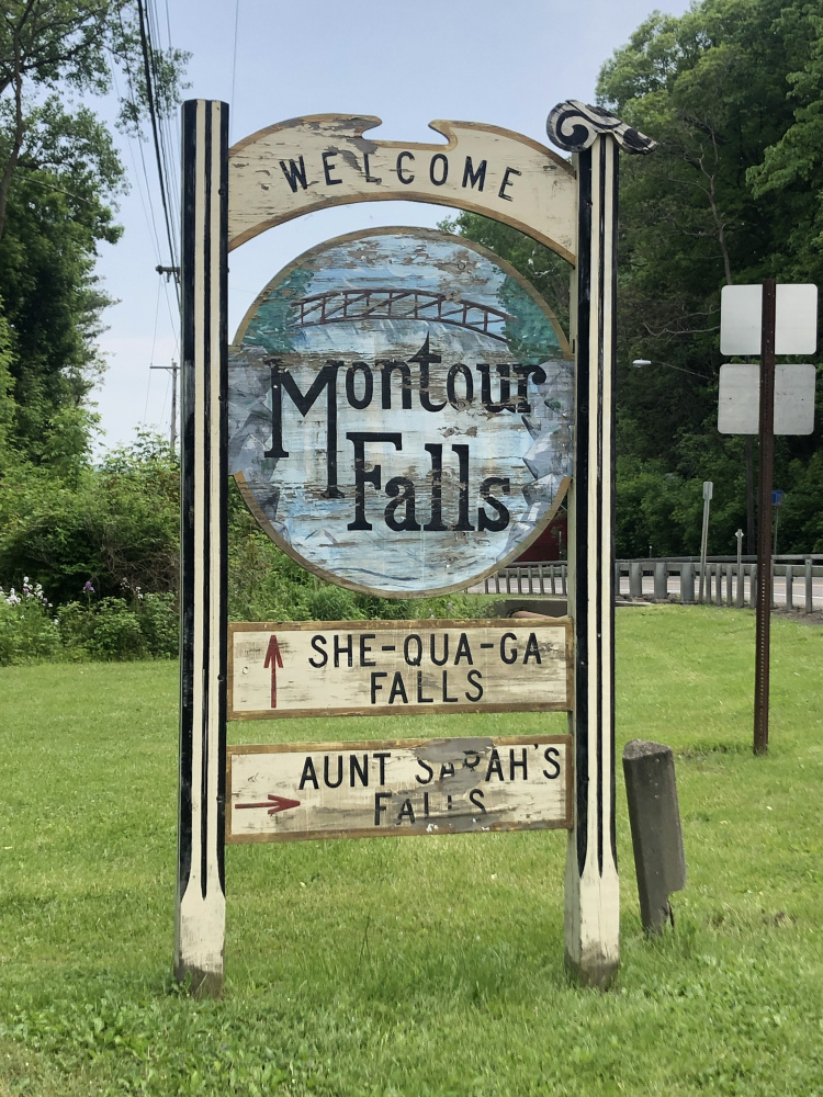 Main page image for Montour Falls, New York Street Tree Inventory Data