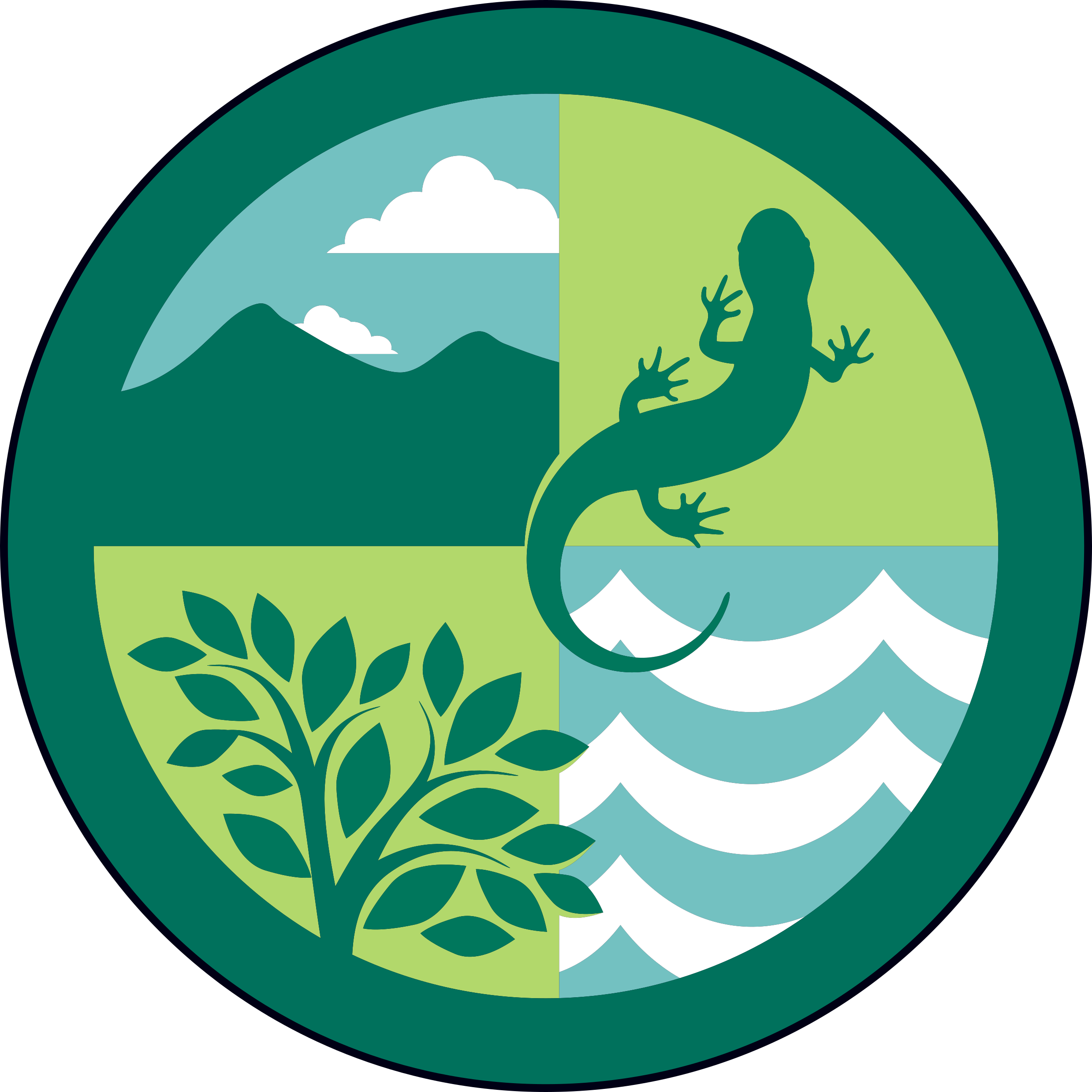 Main page image for Adirondack Park trail registry information