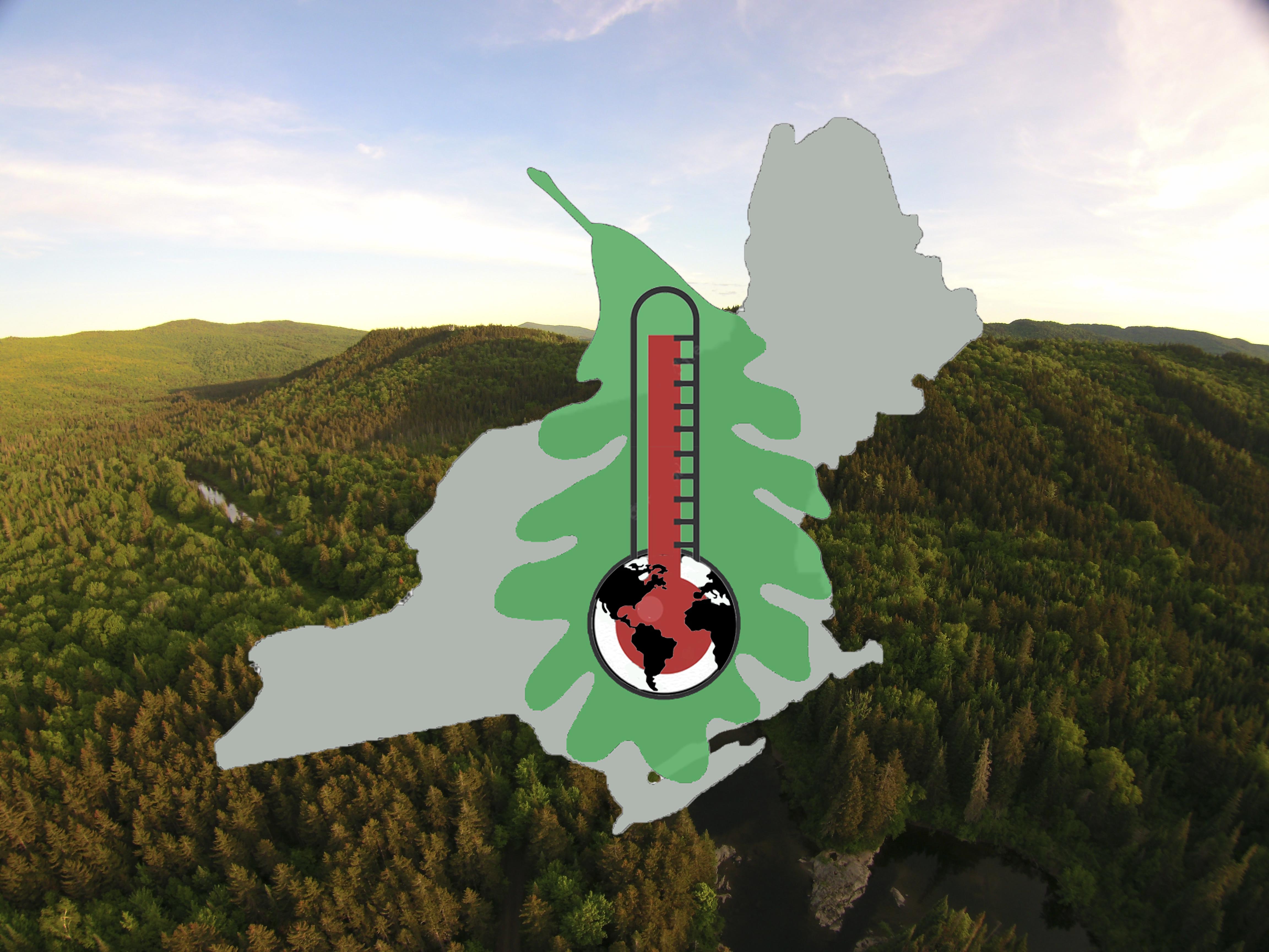 Main page image for Raster Layers- High Emssions Scenario, Climate Change-Specific Disturbances Included (GDB)