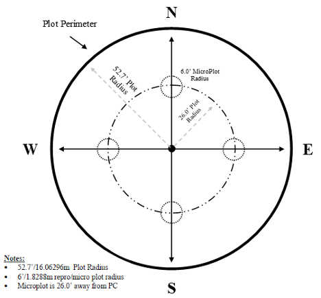 Main page image for Nested Plot Locations (CT, MA, ME, NY) 