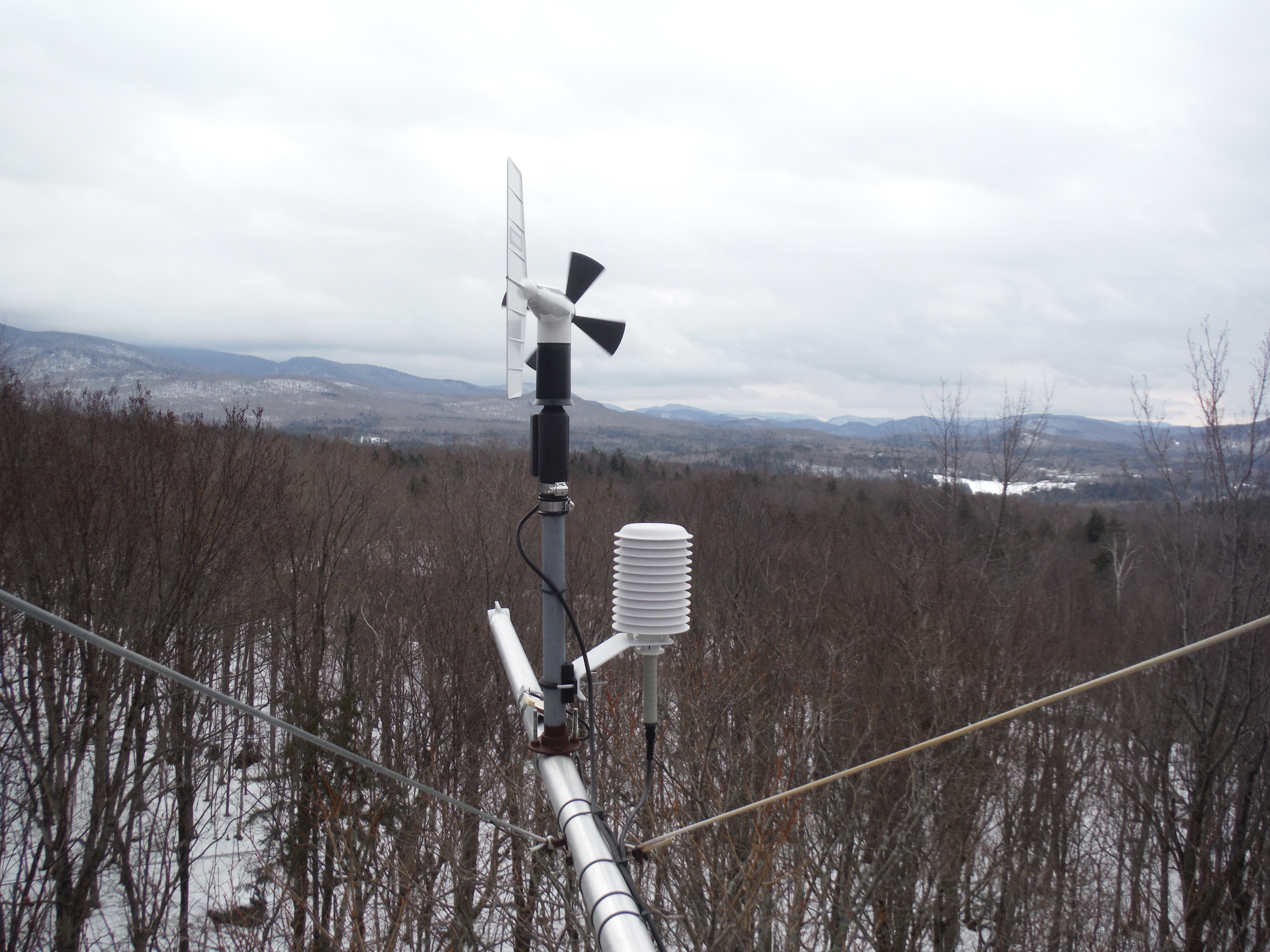 Main page image for Raw Forest Canopy Meteorological Tower Data
