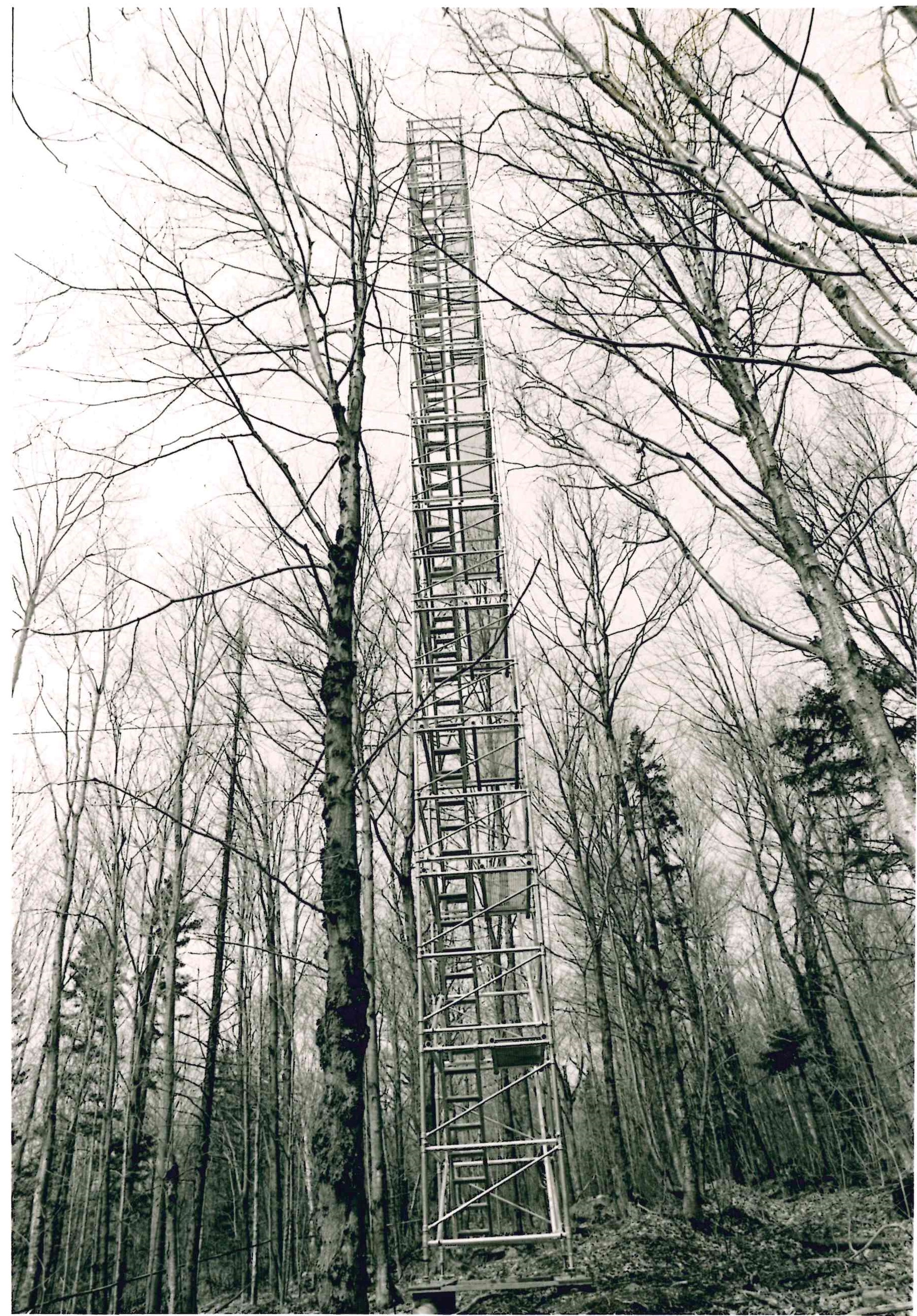 Main page image for Quality-Controlled Forest Canopy Meteorological Tower Data