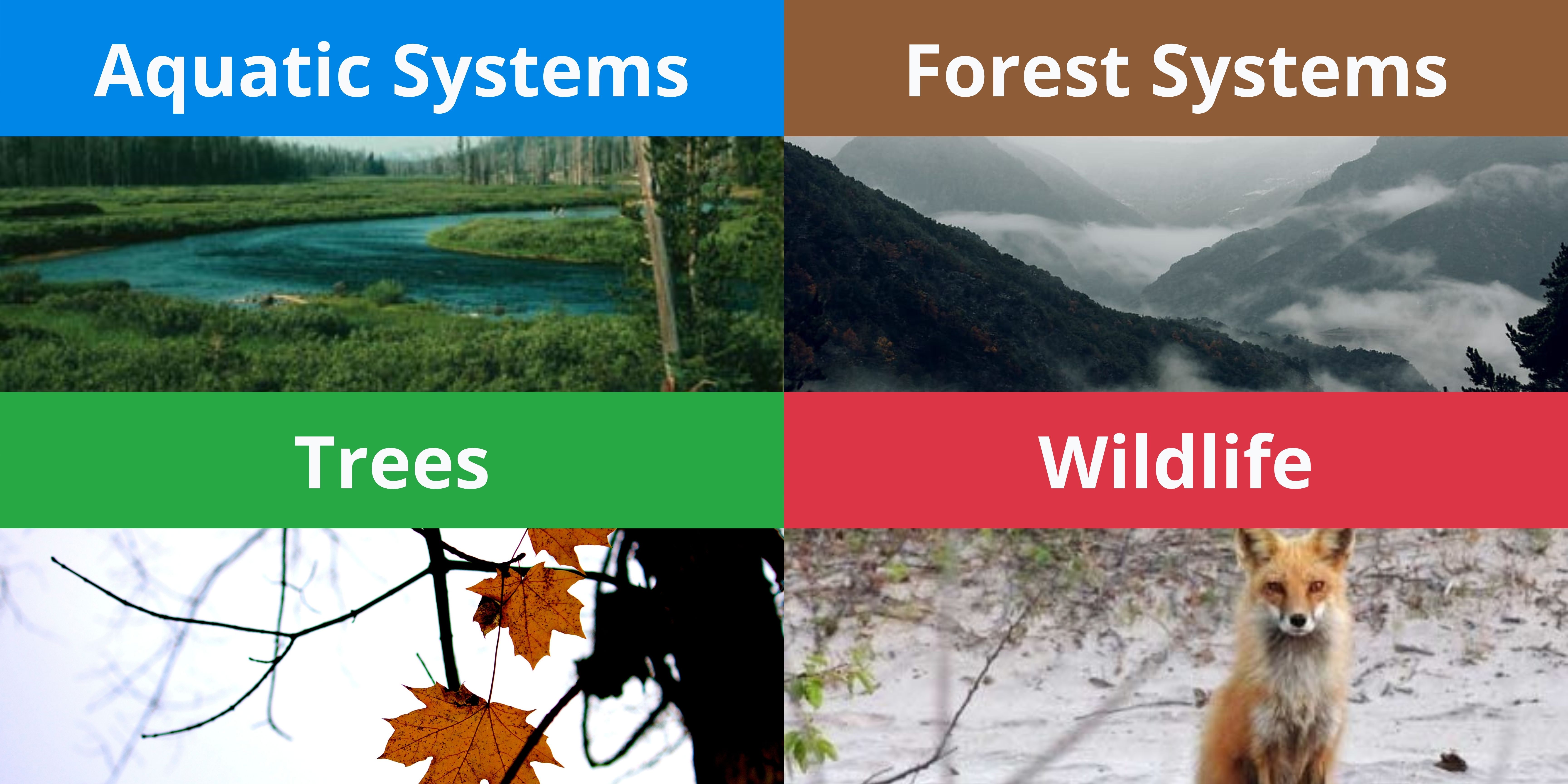 Thumbnail for New Online Tool Available to Explore the Impacts of Climate Change news item