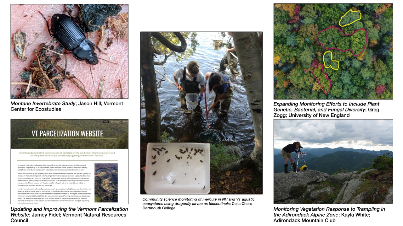 Thumbnail for Announcing the Ecosystem Monitoring Fund Awards news item