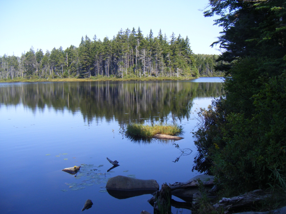 Branch Pond