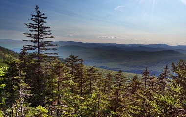 A high-elevation ecosystem in northern New Hampshire, by Todd Ontl