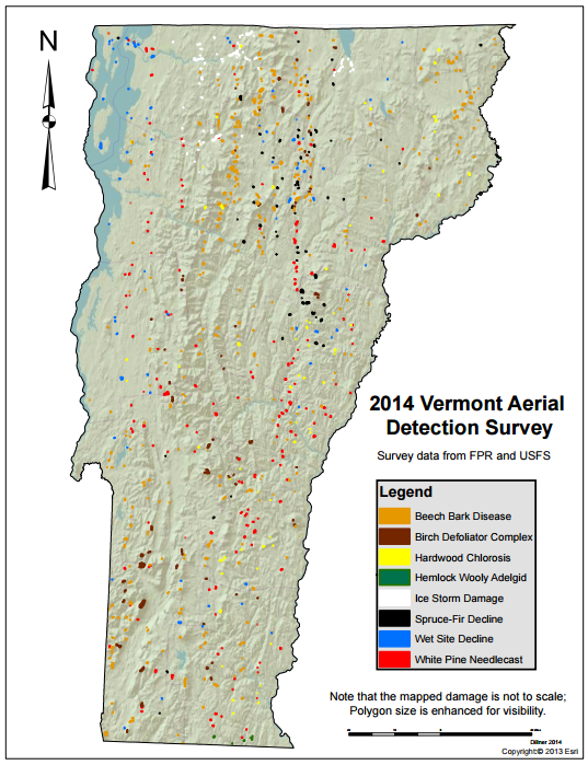 Locations of mapped forest damage by damage agent. Figure courtesy of VT FPR, Dillner 2014