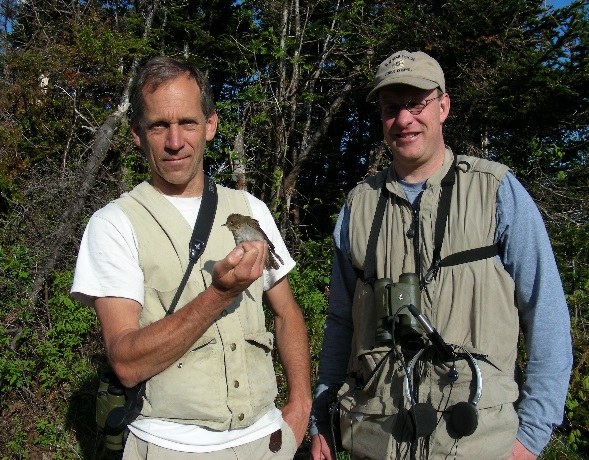 Vermont Center for Ecostudies Director Chris Rimmer and Conservation Biologist Kent McFarland with an 11 year old tagged and recaptured Bicknell's thrush.Photo courtesy of VCE.