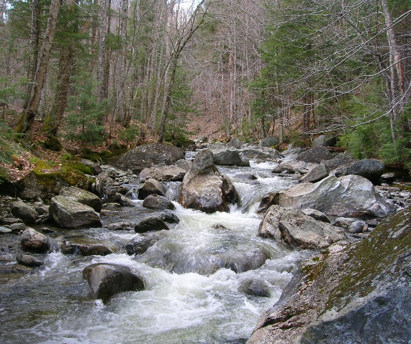 Mountain stream