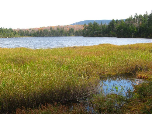 Bourn Pond in the Lye Brook Wilderness Area, Green Mountain National Forest.