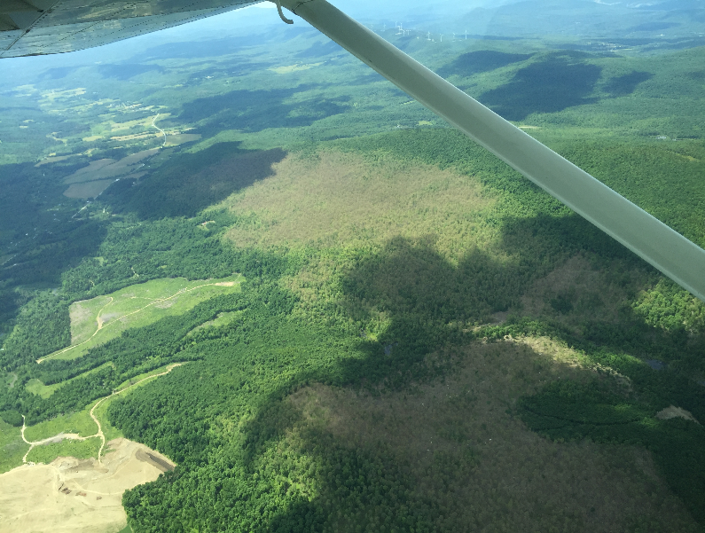 Aerial sketch mapping provides direct recording of sketched disturbance features on a moving map display into a GIS model for data analysis.