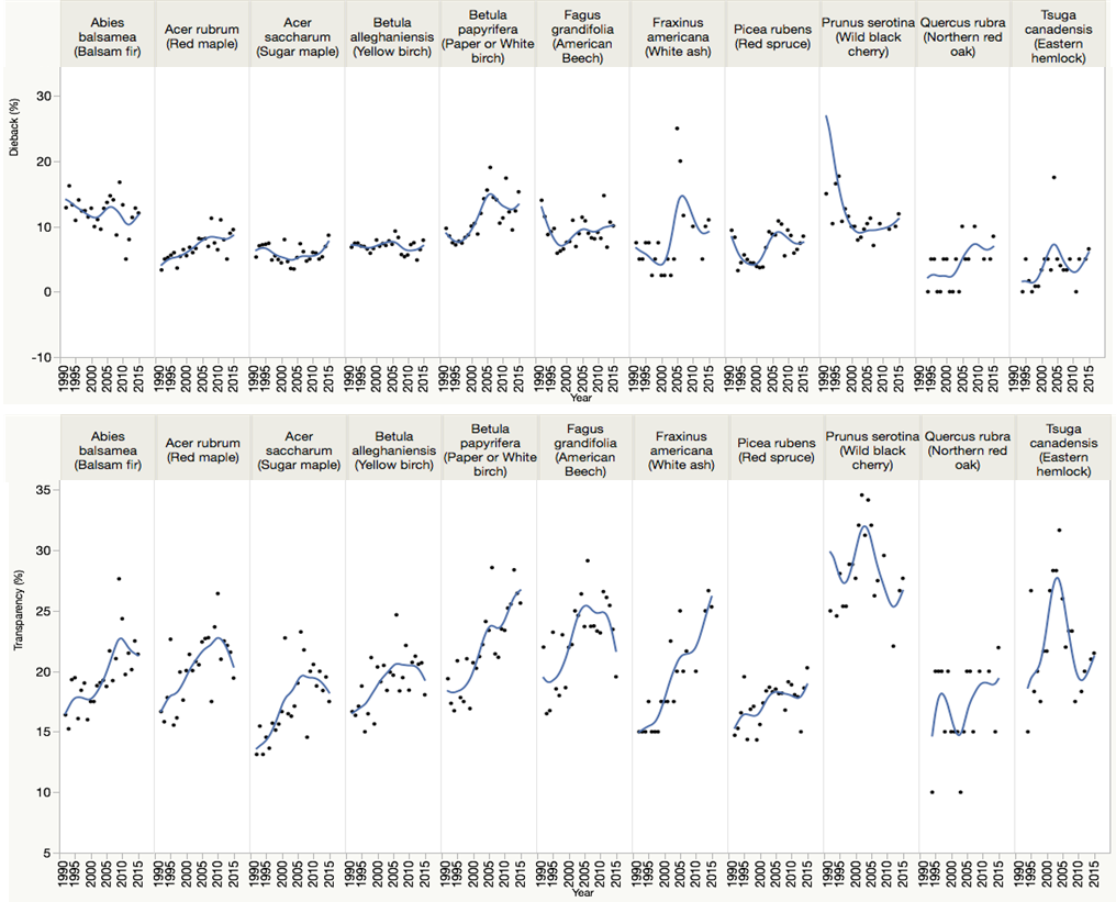 A simple spline fit to the plot mean dieback (top) and transparency (bottom) for each species per year. Note the high year-to-year variability, peak in dieback symptoms between 2007 and 2009, and peak transparency in 2010 for most species.  In contrast, transparency continues on an upward trend for white ash and paper birch.