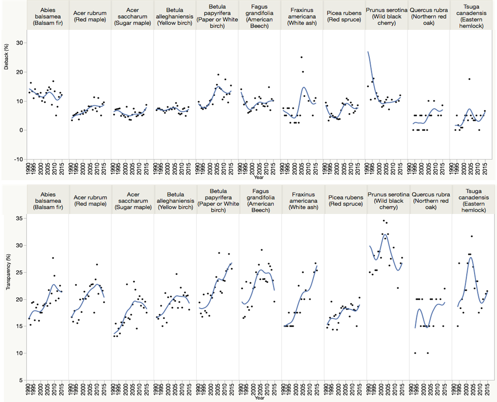 A simple spline fit to the plot mean dieback (top) and transparency (bottom) for each species per year. Note the high year-to-year variability, peak in dieback symptoms between 2007 and 2009, and peak transparency in 2010 for most species. In contrast, transparency continues on an upward trend for white ash and paper birch.