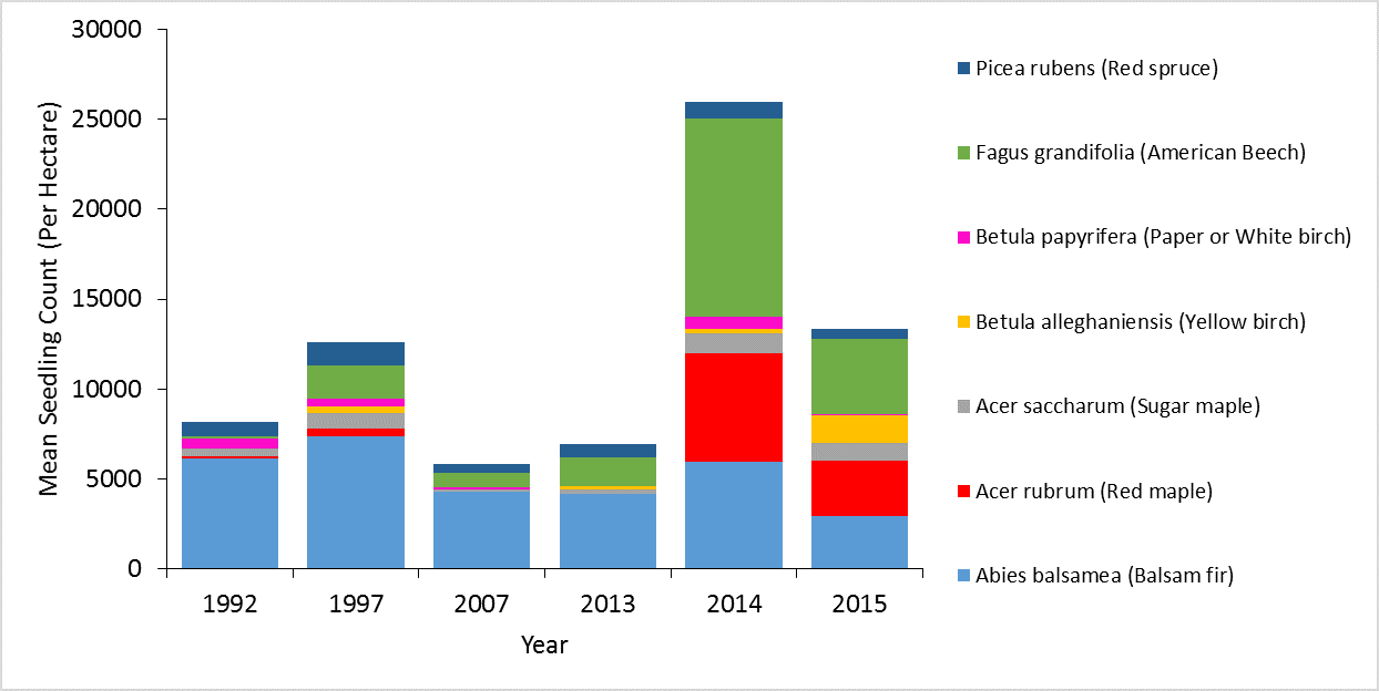 Mean number of seedlings per hectare (left axis) at the 19 consistently measured VMC forest health monitoring plots provide a picture of regeneration success and the potential composition of the future forest.