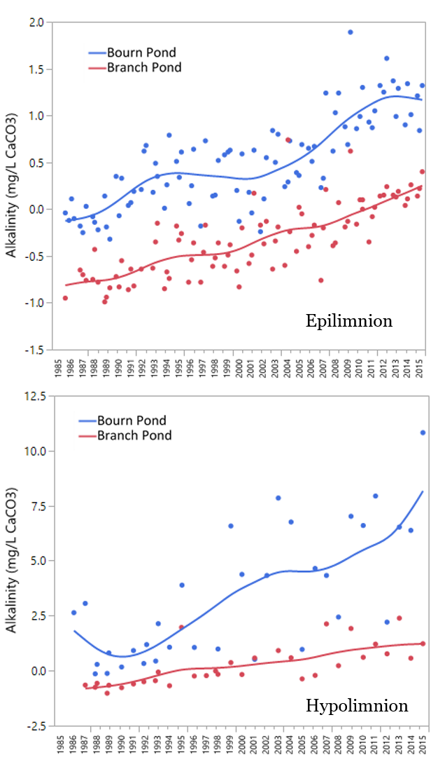 Long-term trends in Gran alkalinity (mg/L CaCO3) in the epilimnion (top) and the hypolimnion (bottom) for Bourn and Branch Ponds.