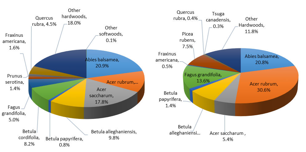 Species composition of all dominant and codominant trees greater than 12.7cm diameter (left) and all seedlings (right) tallied across the 2015 VMC monitoring plots.