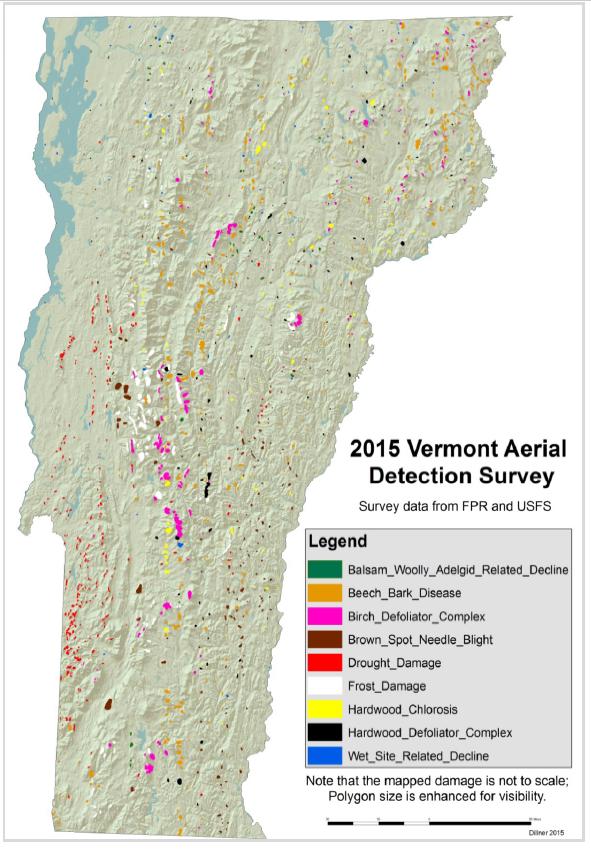 Locations of mapped forest damage by damage agent. Figure courtesy of VT FPR, Dillner 2015.