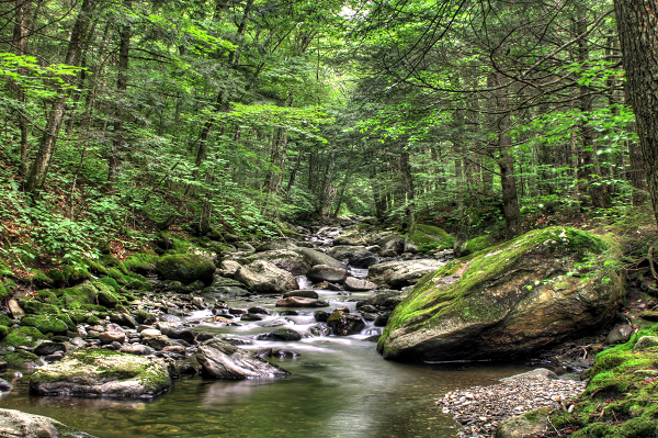 Ranch Brook near Stowe Mountain Resort has been monitored since 2000.