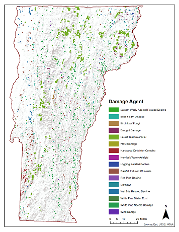 Locations of 2017 mapped forest disturbance from Vermont aerial detection surveys. Disturbance polygons were increased in size for visibility. Only those damage agents with the highest occurrence are shown.