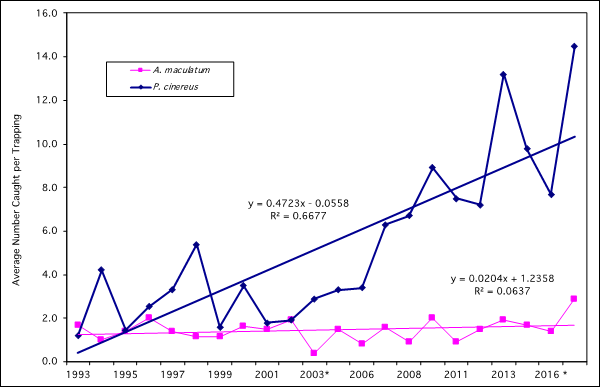 Spotted Salamander (Ambystoma maculatum) and Eastern Red-backed Salamander (Plethodon cinereus) population indices from 1993-2017 from Mt. Mansfield, Underhill, Vermont.