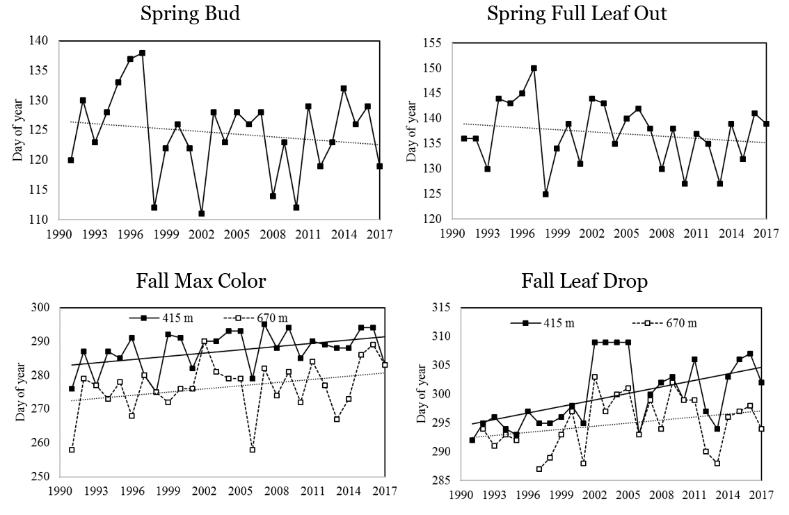 Long-term trends in the timing (mean day of year) of spring and fall phenological events for sugar maple from 1991 to 2017. Spring bud burst (top left) and full leaf out (top right) are assessed yearly at lower elevation (415m), with linear trend line shown. Fall maximum coloration (bottom left) and leaf drop (bottom right) yearly data are shown for sugar maple at two elevations (415m and 670 m) as well as a linear trend line in both.