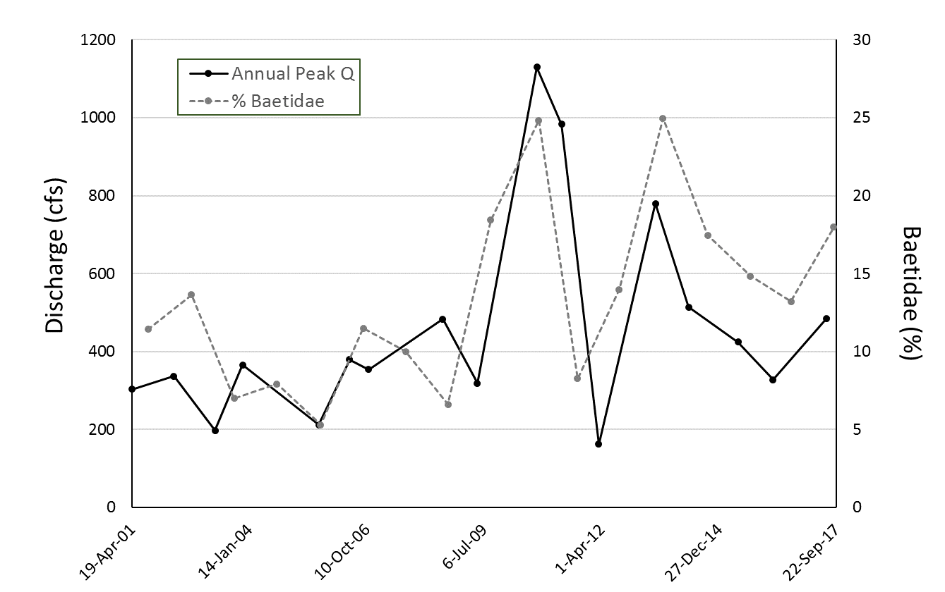 A comparison of annual peak discharge (Q, solid line), and the proportion of the macroinvertebrate community comprised of the mayfly family Baetidae (dashed line), an early colonizer of disturbed substrate.