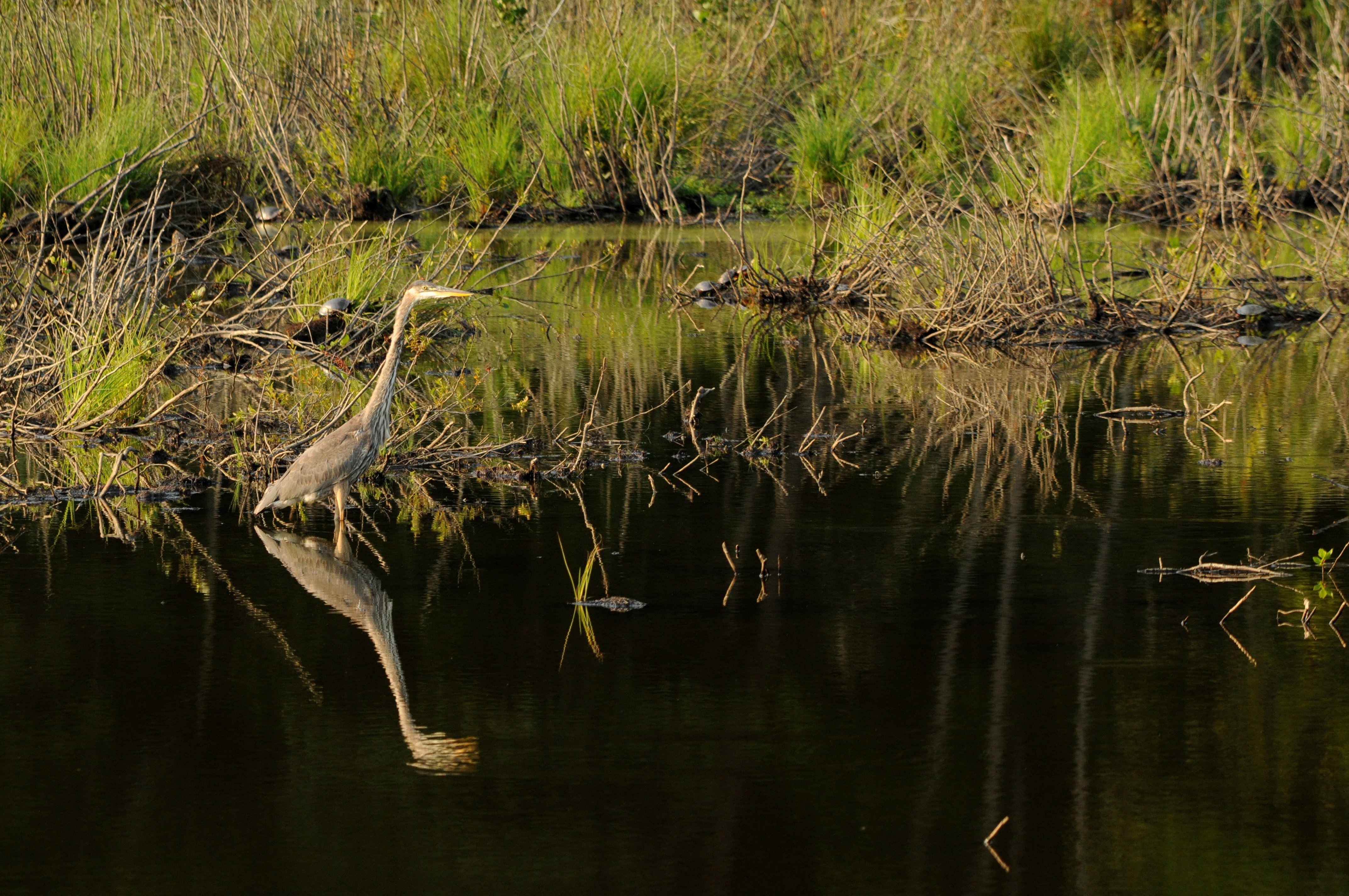 Rivers Edge