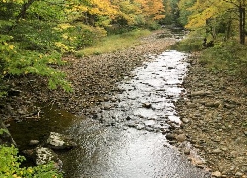 It appears that very low flows at many streams in 2018 may have led to increased stream temperature, and altered macroinvertebrate communities. <br><br>
Green River, Guilford, VT (photo courtesy of Jim Deshler)