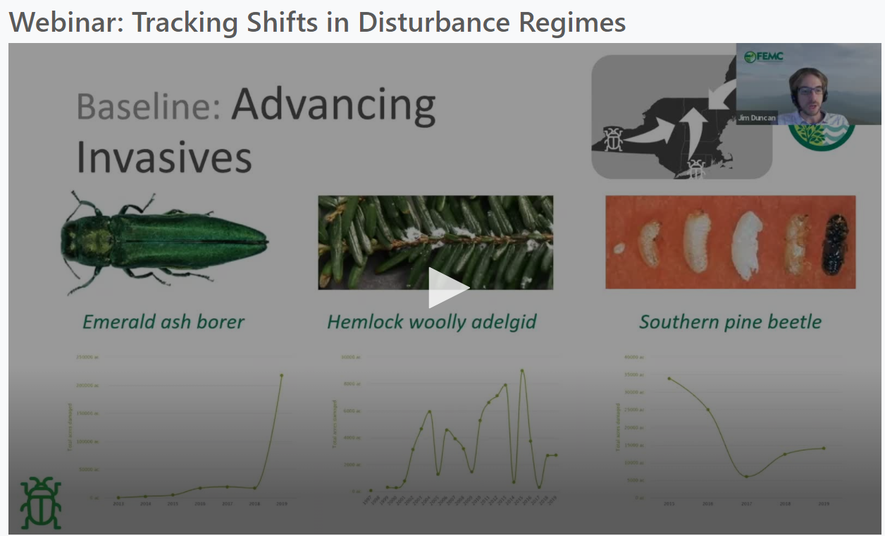 Thumbnail of disturbance webinar