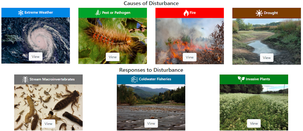 Disturbance Regimes