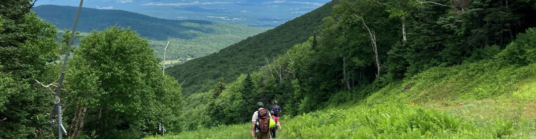 banner image of hikers in the mountains