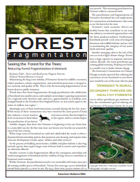 Thumbnail for Seeing the forest for the trees: reducing forest fragmentation in Vermont