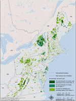 Thumbnail for Conservation status of fish, wildlife, and natural habitats in the Northeast landscape