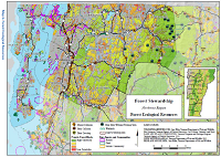 Thumbnail for Landscape-based forest stewardship northwest region Vermont