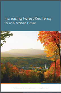 Thumbnail for Increasing forest resiliency for an uncertain future