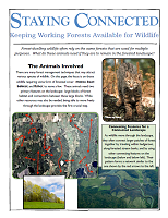 Thumbnail for Keeping working forests available for wildlife