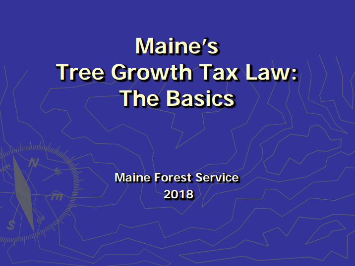 Thumbnail for Maine's tree growth tax law: the basics