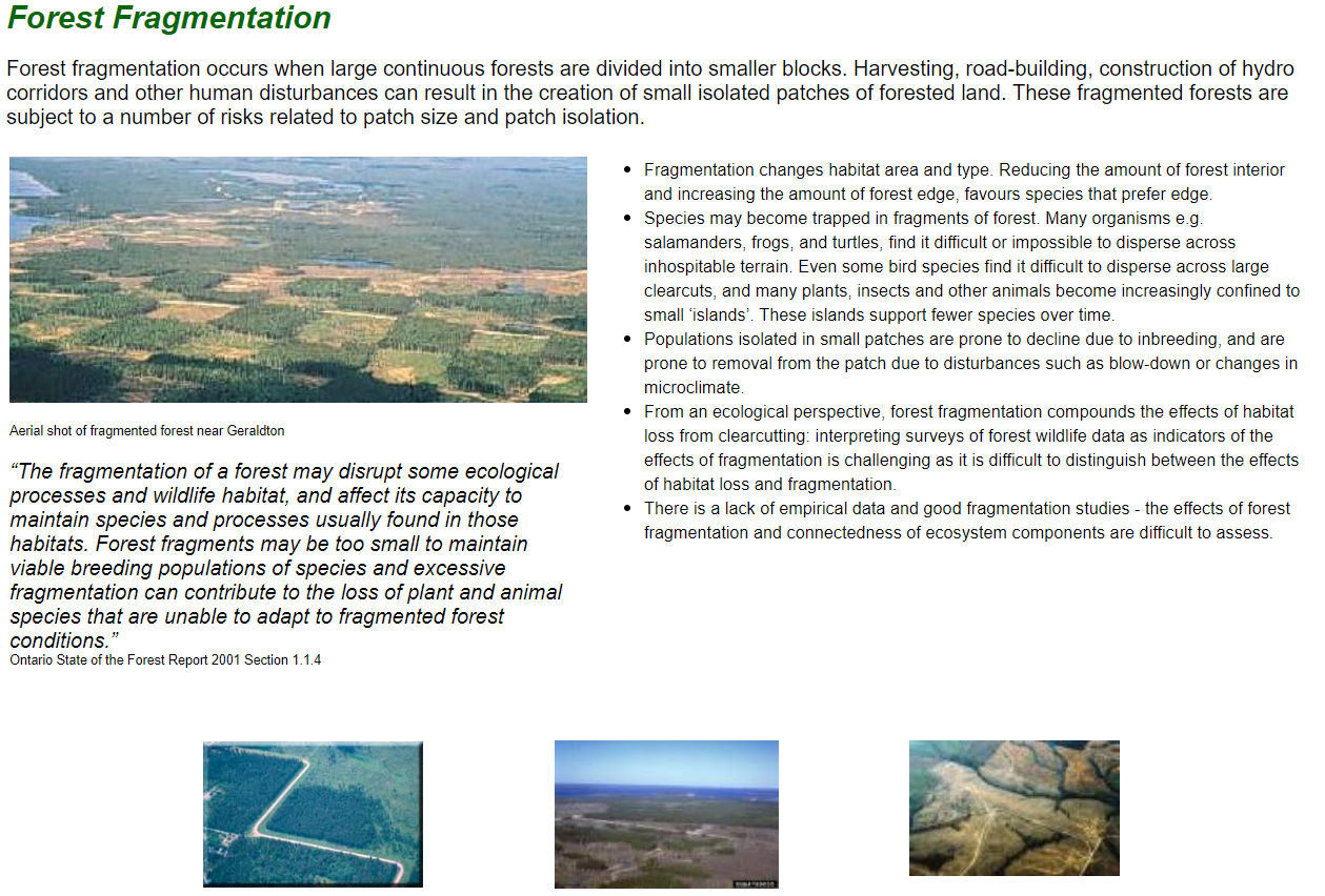 Thumbnail for Forest Fragmentation
