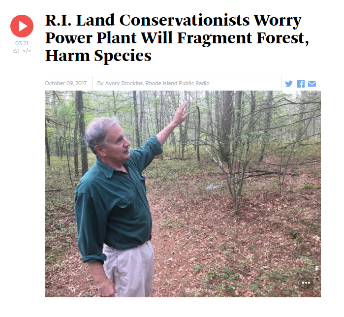 Thumbnail for R.I. Land Conservationists Worry Power Plant Will Fragment Forest, Harm Species