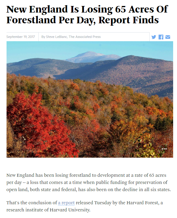Thumbnail for New England is Losing 65 Acres of Forestland Per Day, Report Finds