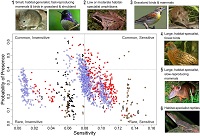 Thumbnail for A global analysis of traits predicting species sensitivity to habitat fragmentation